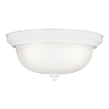 CEILING FLUSH MOUNT