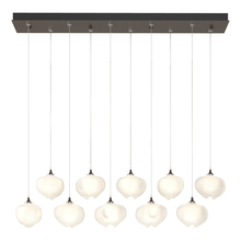 Hubbardton Forge - Canada 131203-SKT-STND-05-FD0710 - Ume 10-Light Pendant