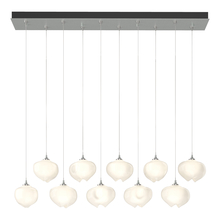 Hubbardton Forge - Canada 131203-SKT-STND-82-FD0710 - Ume 10-Light Pendant