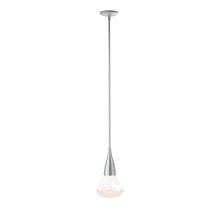 Hubbardton Forge - Canada 188902-SKT-MULT-82-ZM0676 - Fritz Large Pendant