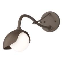 Hubbardton Forge - Canada 201376-SKT-05-05-GG0711 - Brooklyn 1-Light Single Shade Long-Arm Sconce