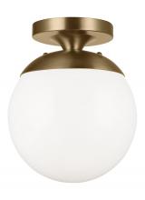 Studio Co. VC 7518-848 - Leo - Hanging Globe One Light Wall / Ceiling Semi-Flush Mount