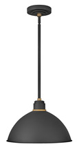  10685TK - Large Convertible Pendant Barn Light