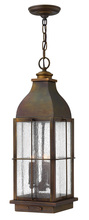 Hinkley 2042SN-LL - Large Hanging Lantern